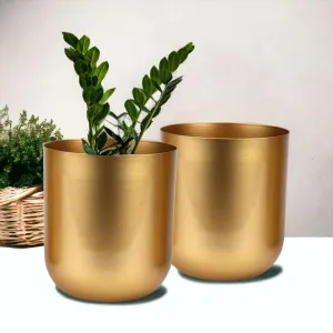 Timeless Golden Decorative Metal Pot ( Set of 2)