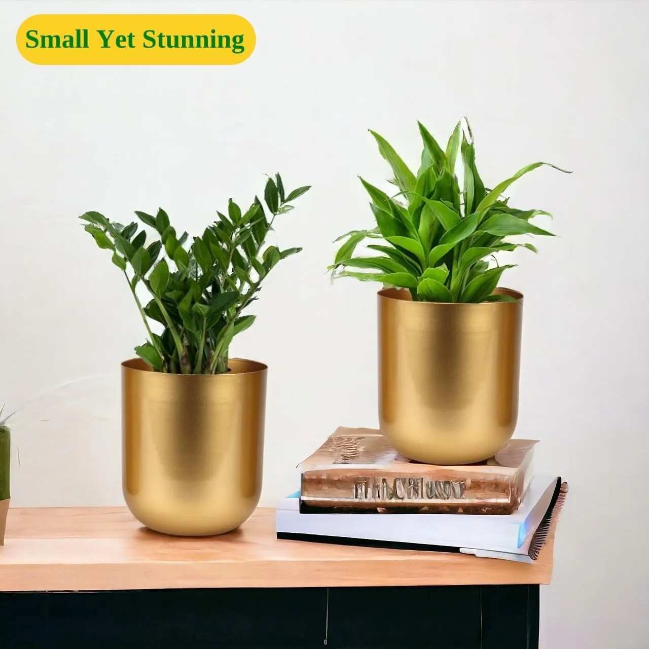 Timeless Golden Decorative Metal Pot ( Set of 2)