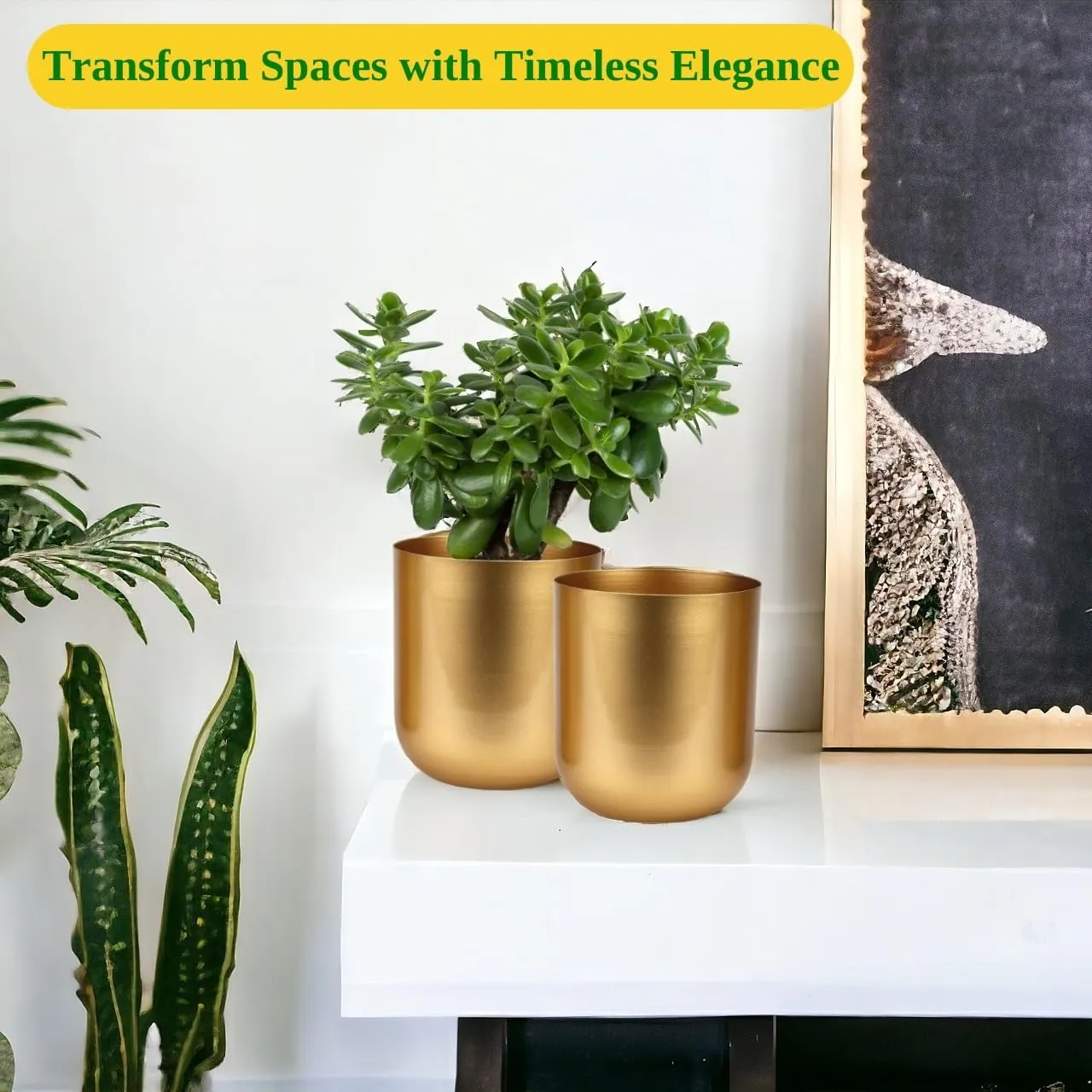 Timeless Golden Decorative Metal Pot ( Set of 2)