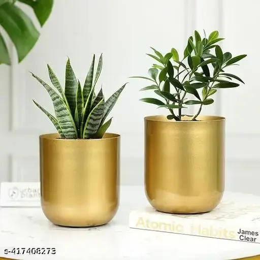 Timeless Golden Decorative Metal Pot ( Set of 2)